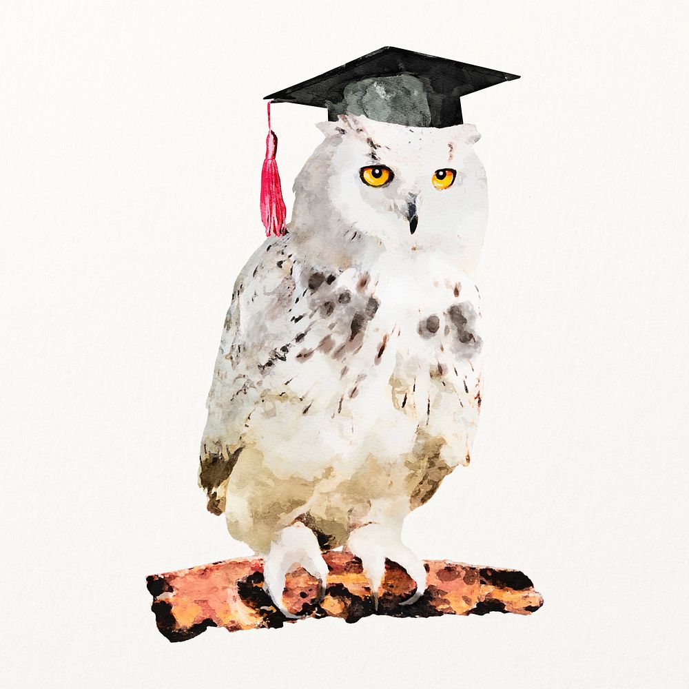 Graduation owl watercolor illustration, cute animal design