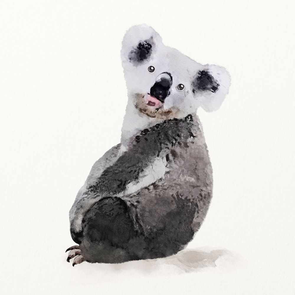 Koala watercolor illustration, cute animal design
