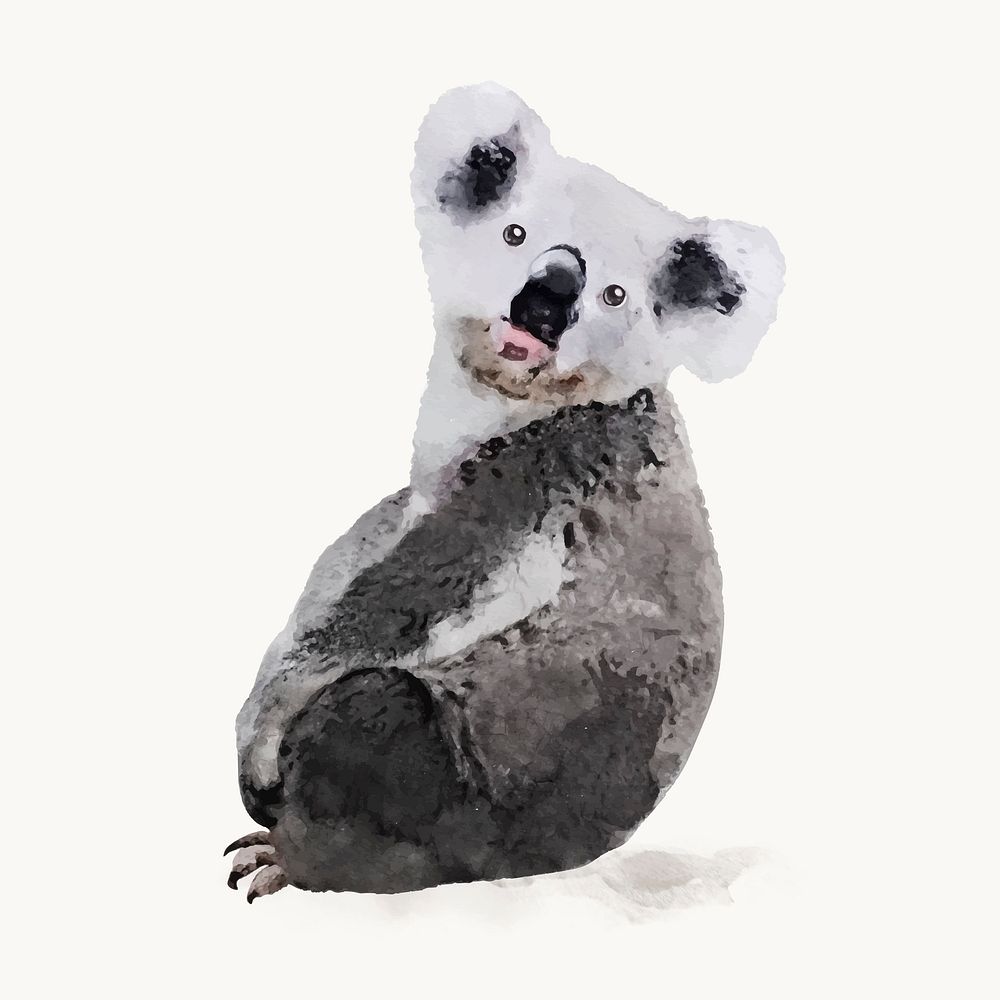 Cute koala watercolor illustration, animal design vector