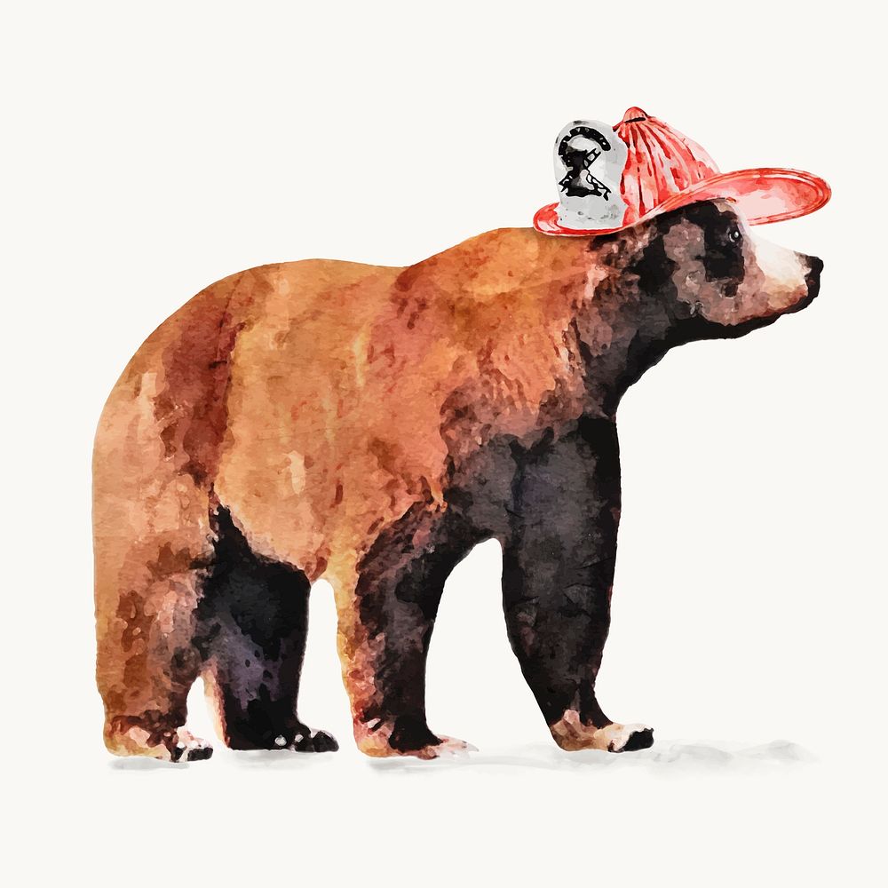 Grizzly bear fireman watercolor illustration, animal design vector