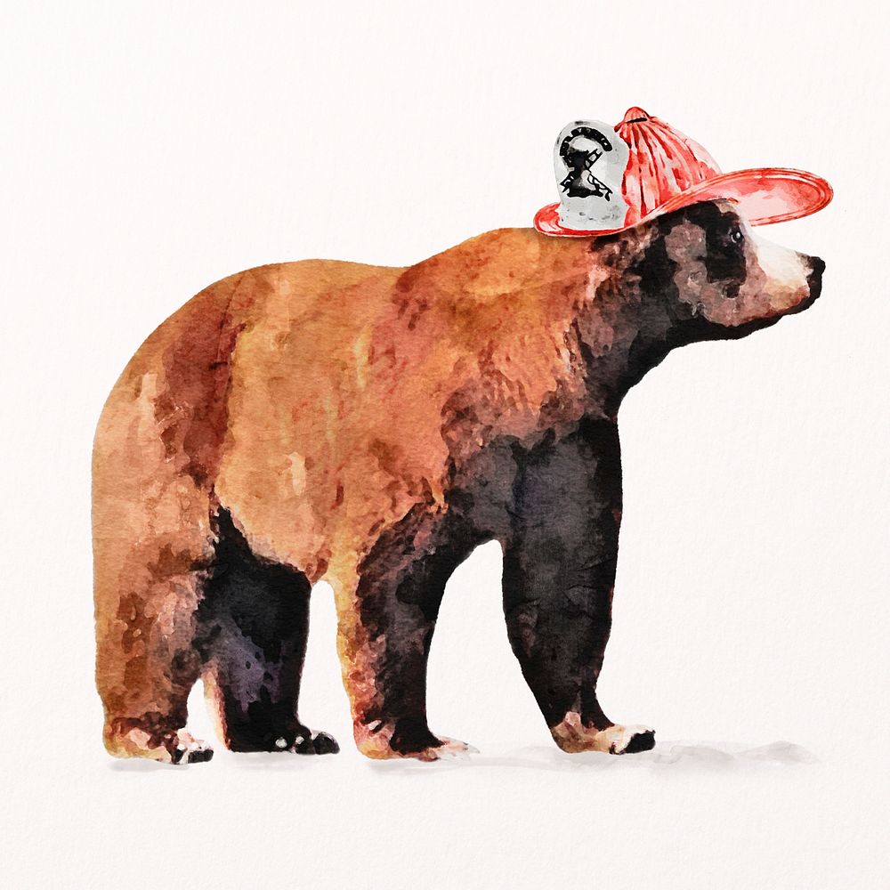 Bear firefighter watercolor illustration, animal design psd