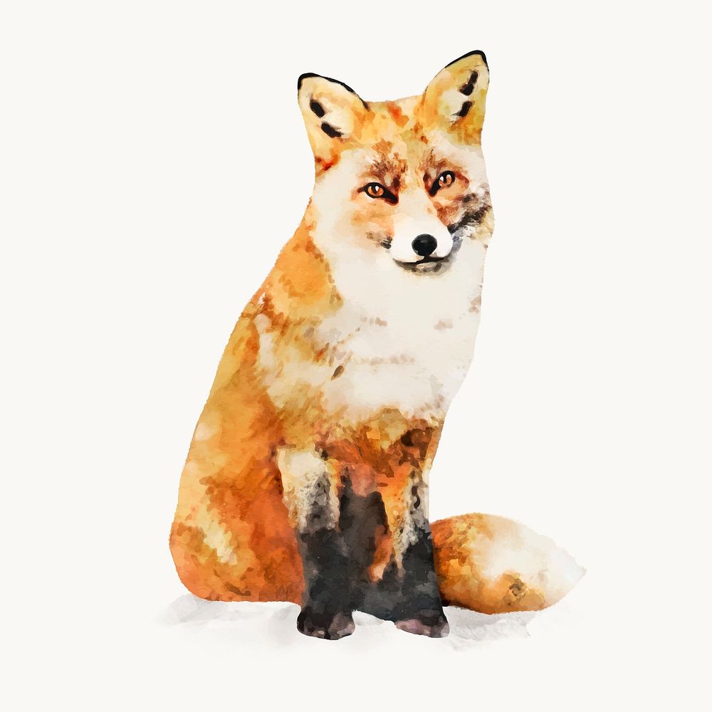 Fox watercolor illustration, animal design vector