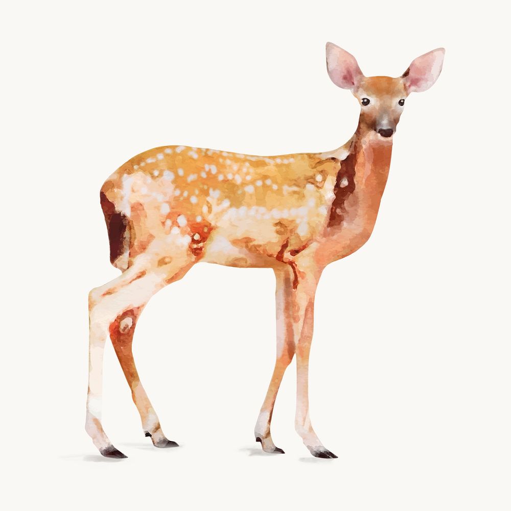 Spotted deer watercolor illustration, animal design vector