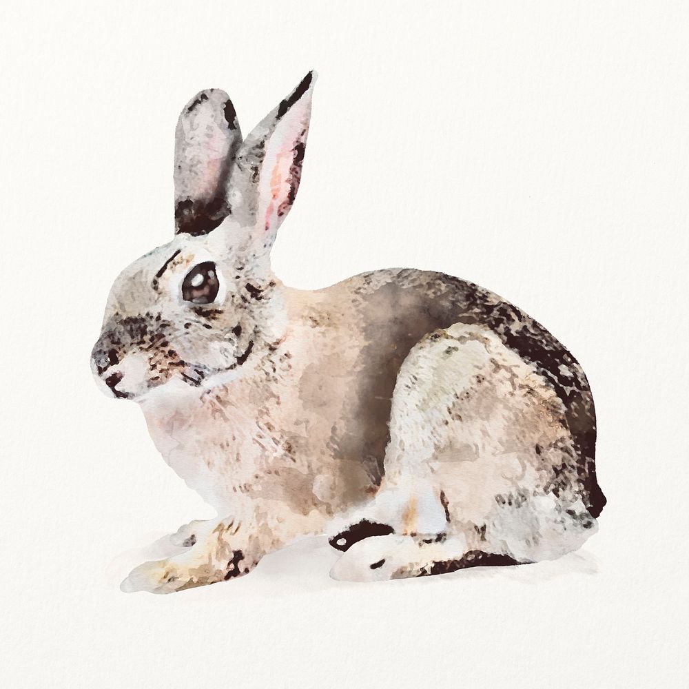 Rabbit illustration, animal watercolor design