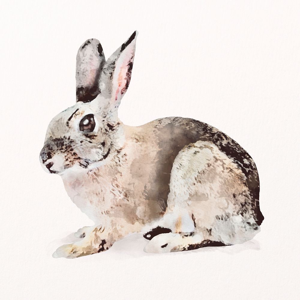 Rex rabbit watercolor illustration, pet design psd