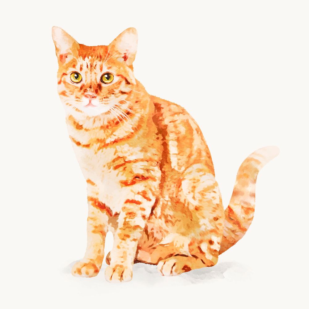 Watercolor ginger cat illustration, animal design vector