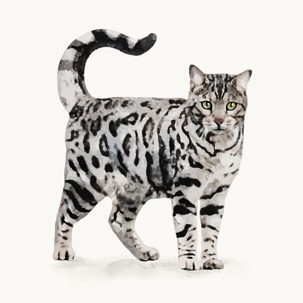 Watercolor Bengal cat  illustration, animal design vector
