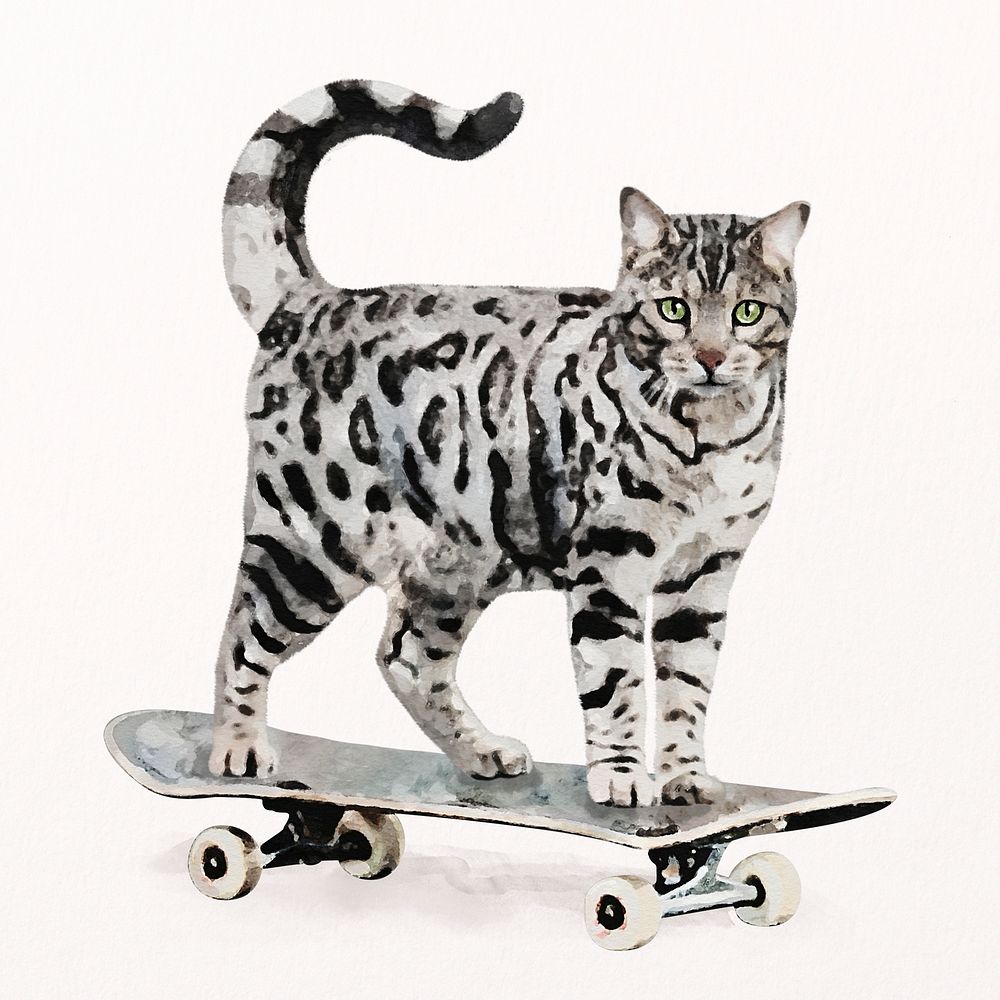 Cat skateboarding watercolor illustration, pet design psd