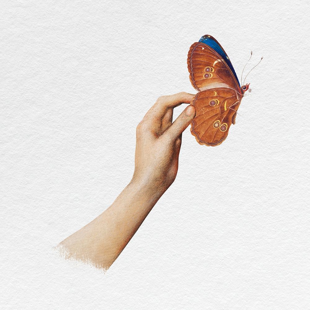 Hand holding butterfly clipart, aesthetic surreal collage element psd