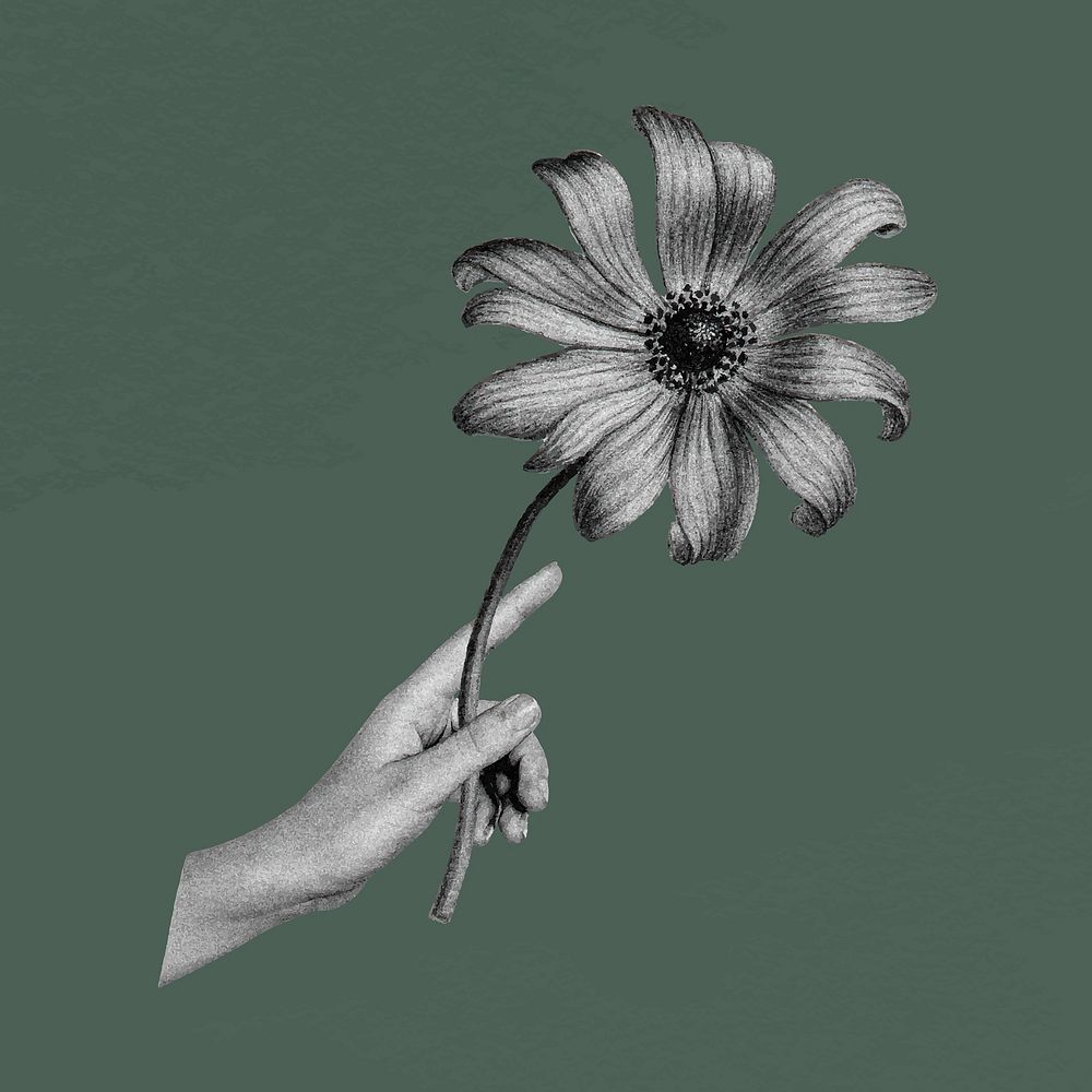 Hand holding sunflower collage element in black and white vector