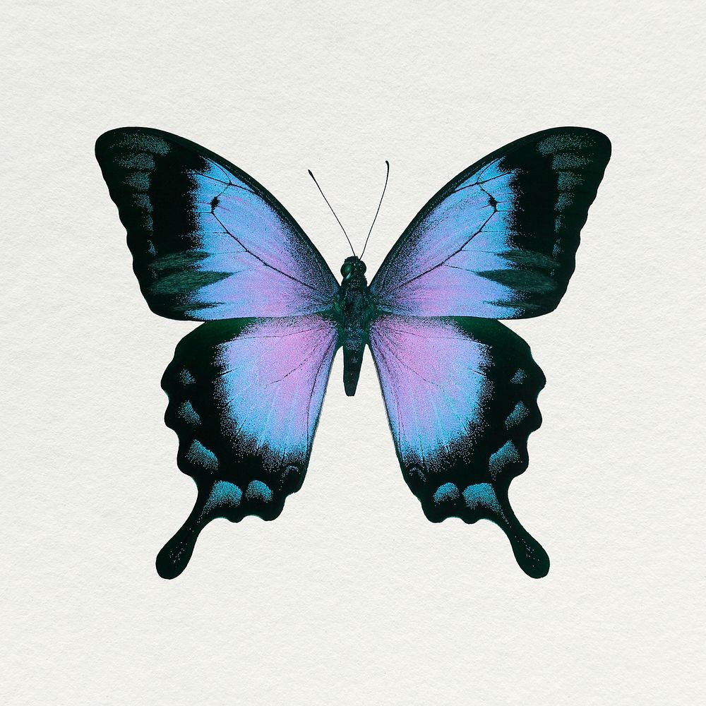 Blue Ulysses butterfly sticker, aesthetic insect illustration psd