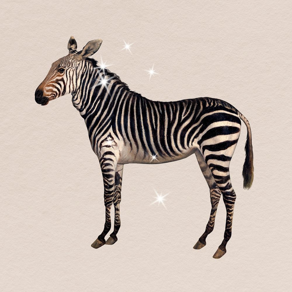 Glittery zebra clipart, surreal animal art