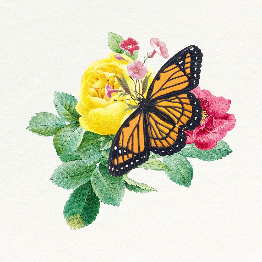Butterfly on flowers clipart, aesthetic collage element psd