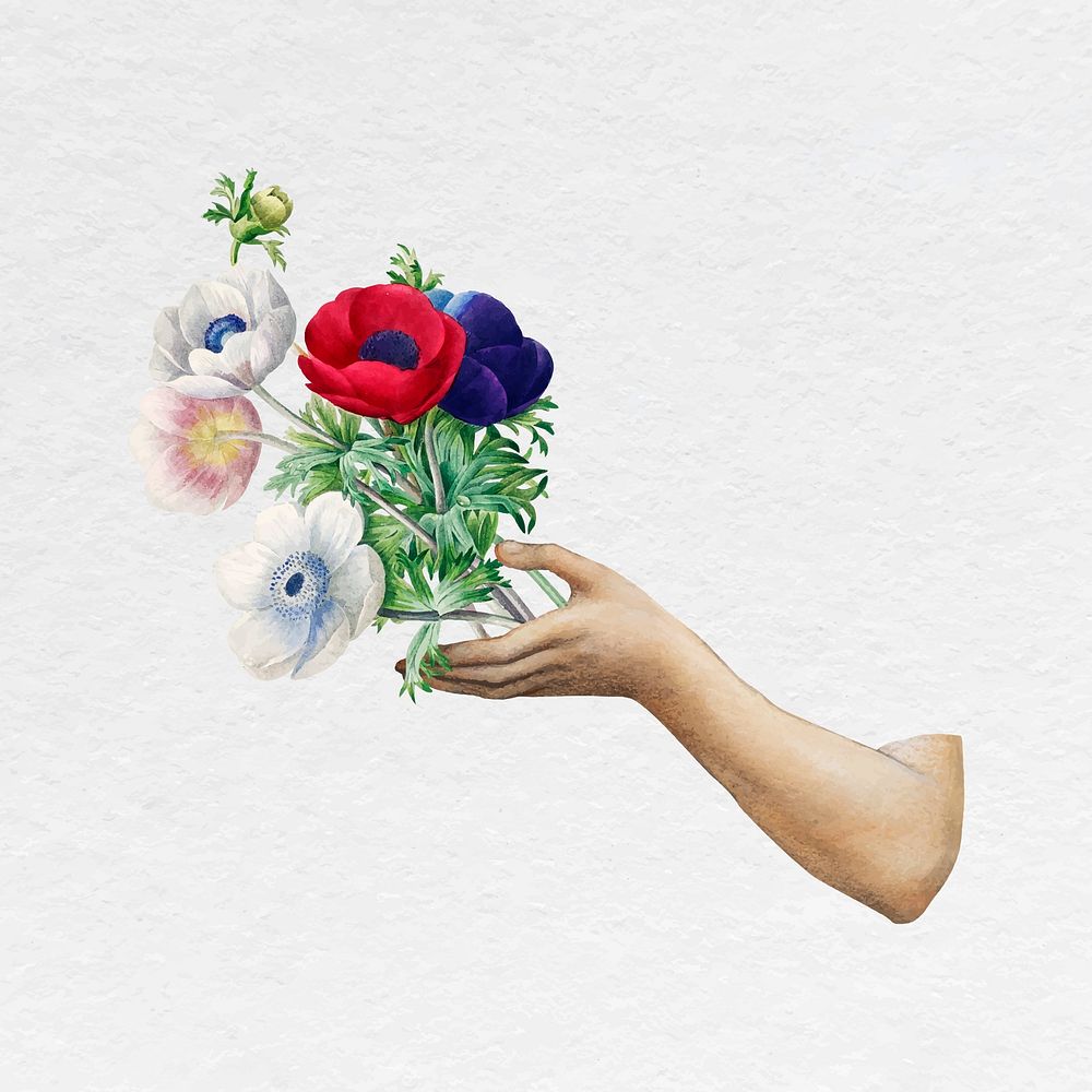 Hand holding flower bouquet, vintage illustration vector