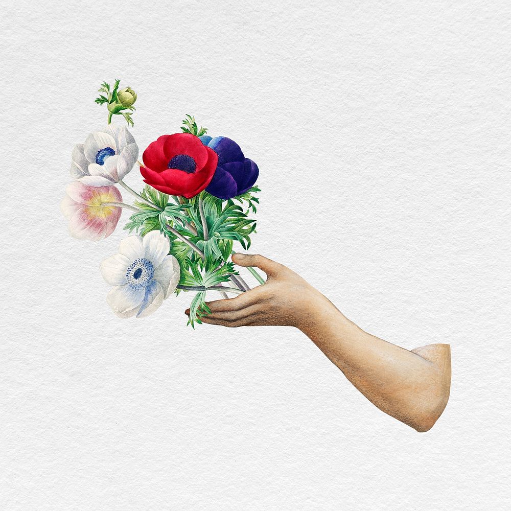 Hand holding flower bouquet, vintage illustration