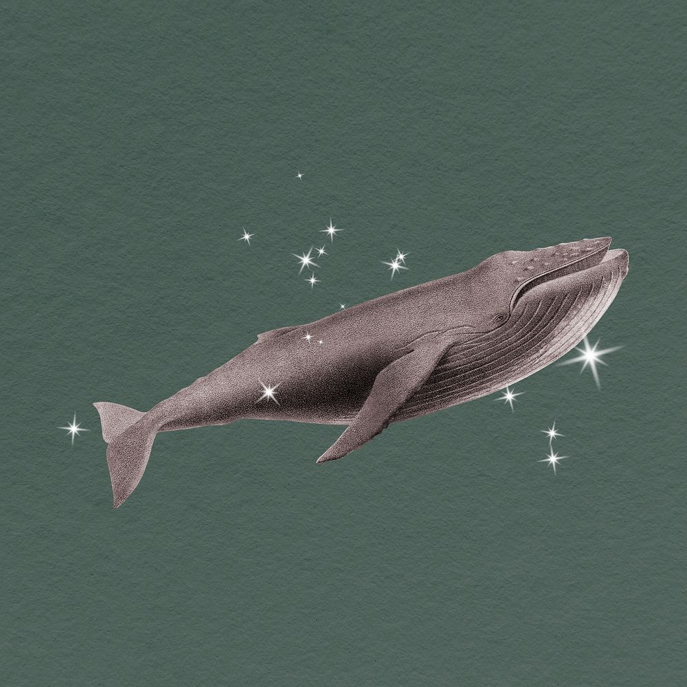 Glittery whale, surreal clipart, animal illustration psd