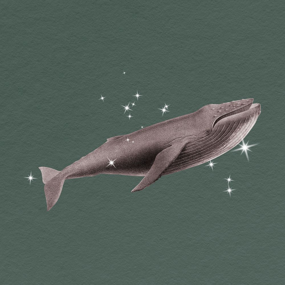 Glittery whale, surreal clipart, animal illustration