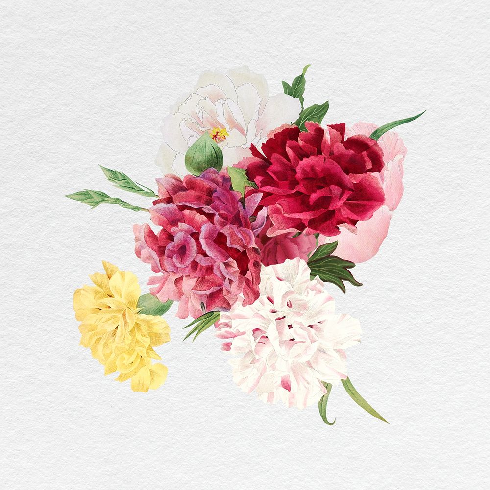Pink flower bouquet sticker, feminine botanical illustration psd
