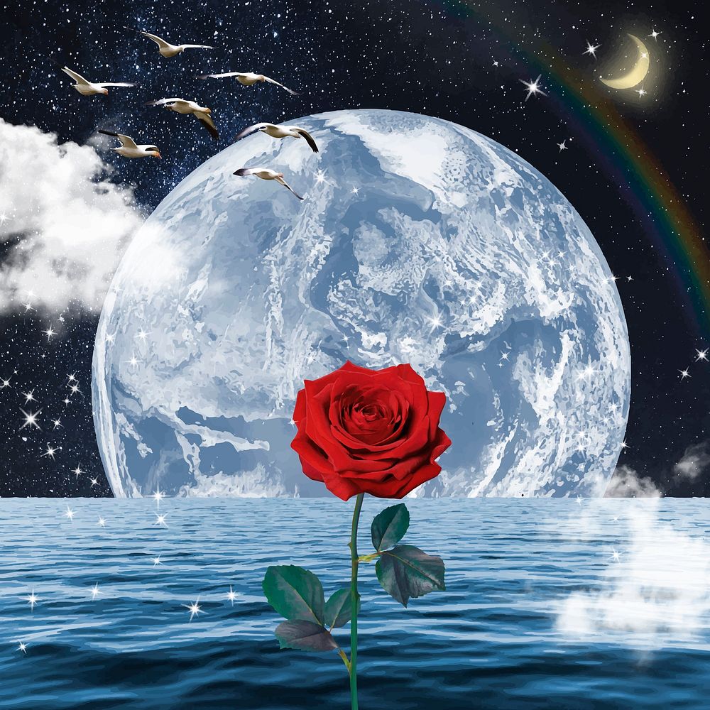 Fantasy ocean rose background, nature aesthetic surreal collage vector