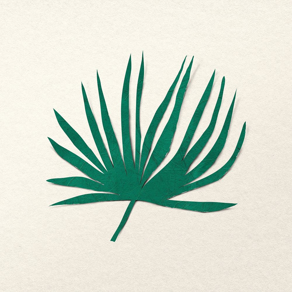 Palm leaf paper craft, nature collage element psd