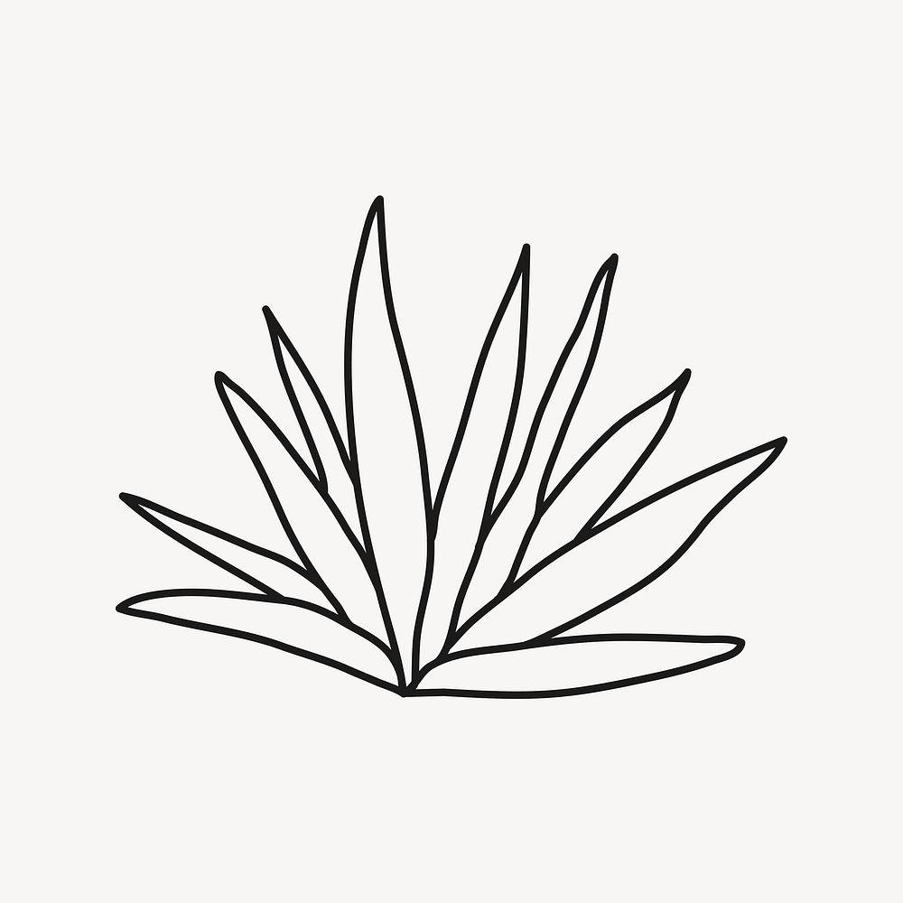 Hand drawn plant, nature clipart