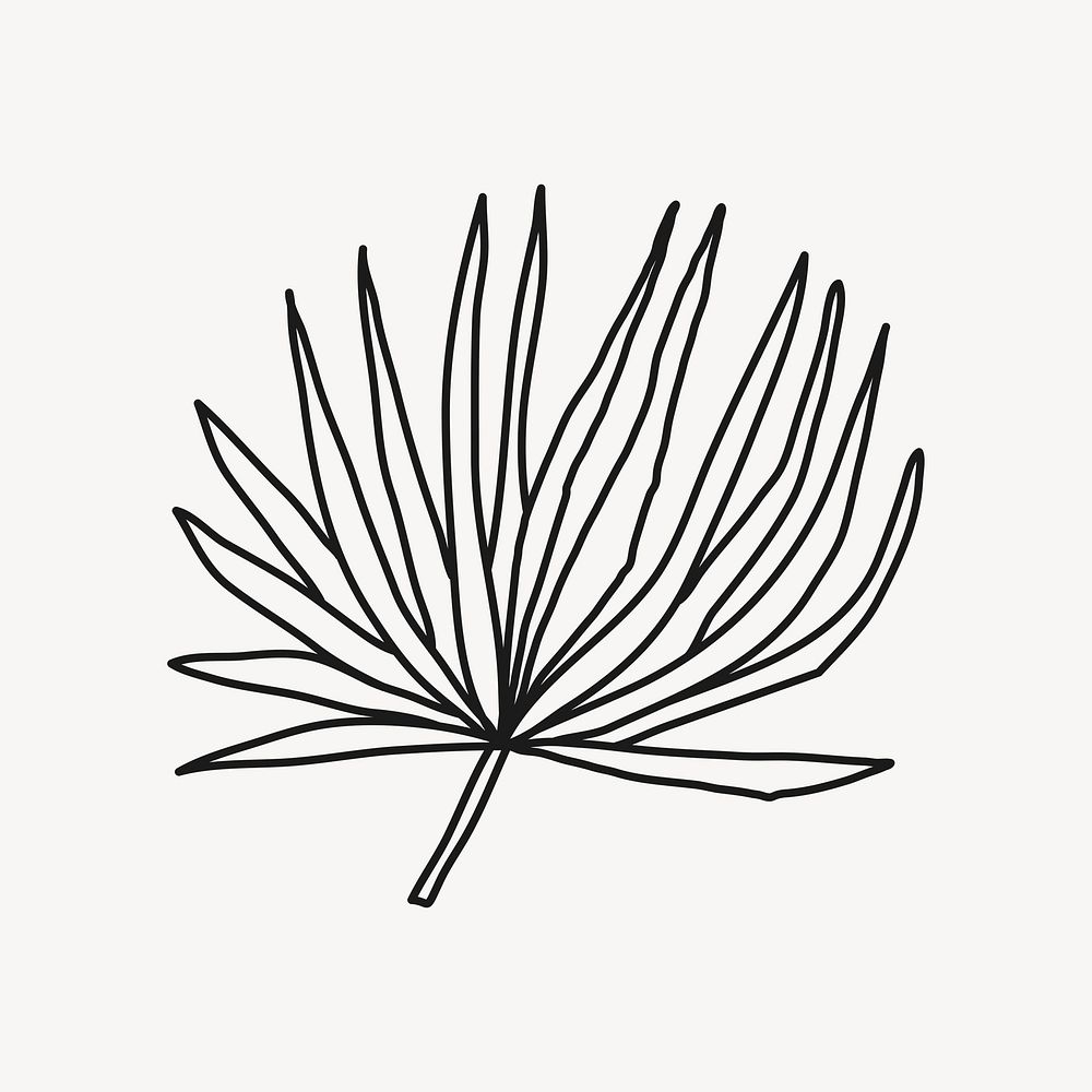Fan palm leaf, doodle collage element psd