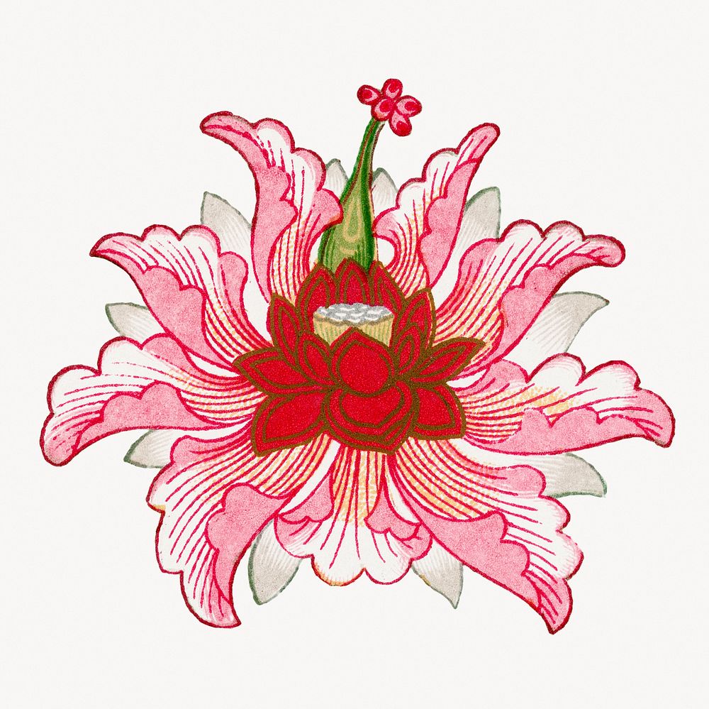 Pink flower illustration, vintage Chinese aesthetic graphic
