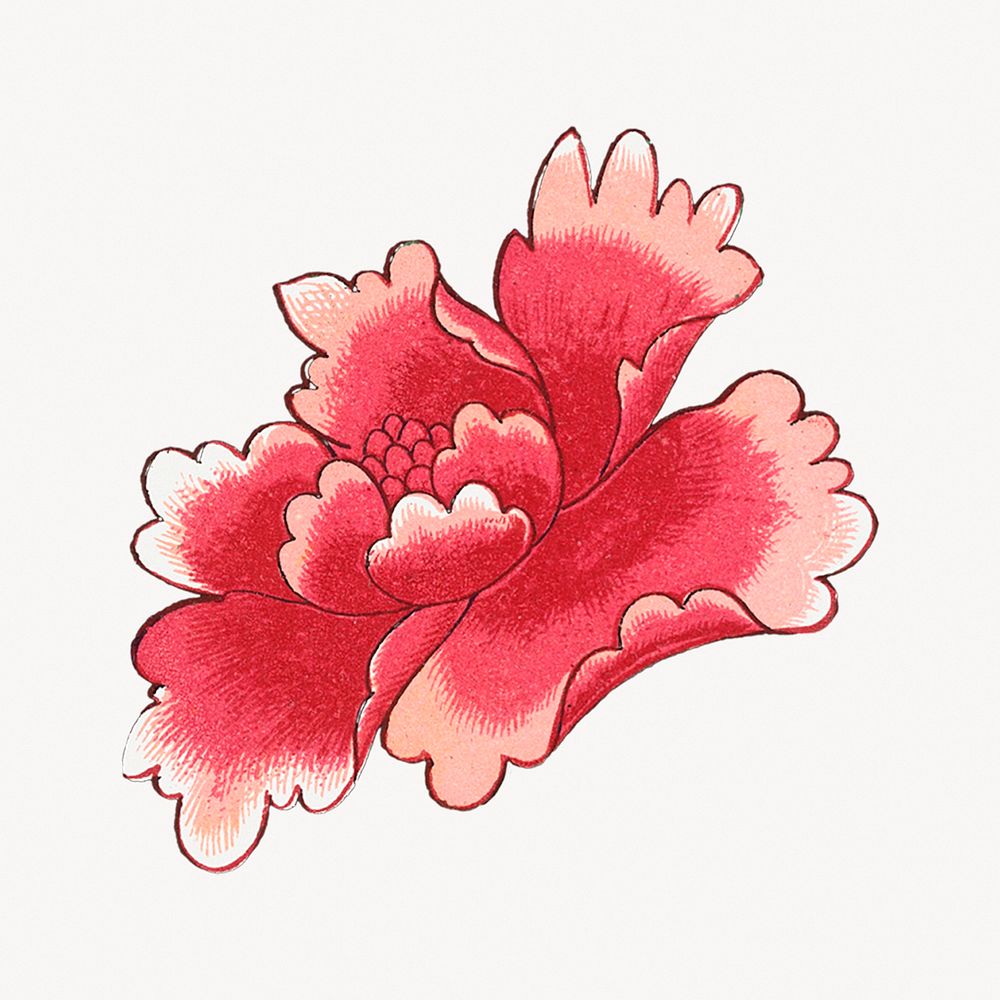 Peony flower illustration, vintage Chinese aesthetic graphic