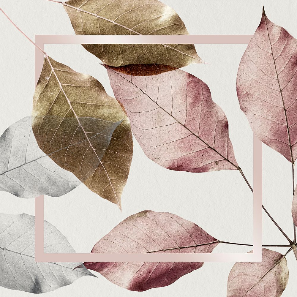 Square pink frame on metallic leaf pattern background illustration