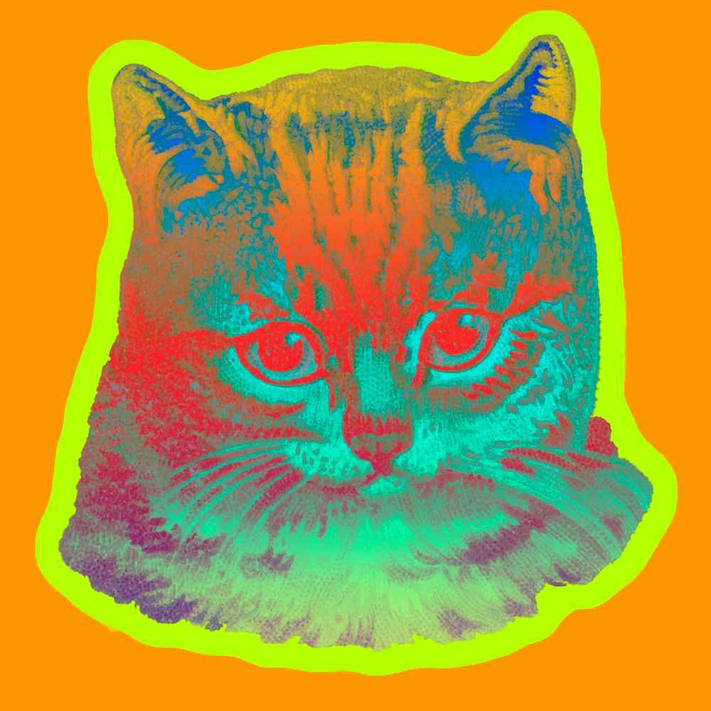 Staring cat sticker illustration