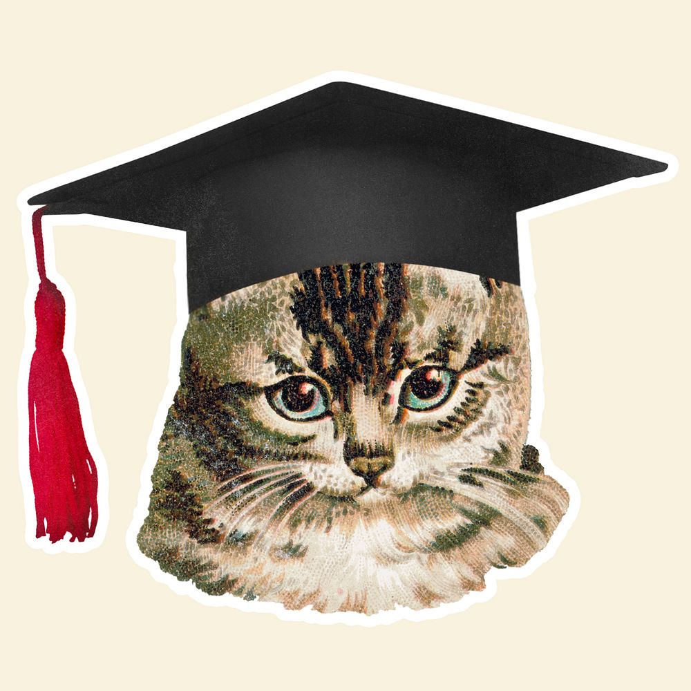 Cat in a graduation cap sticker illustration