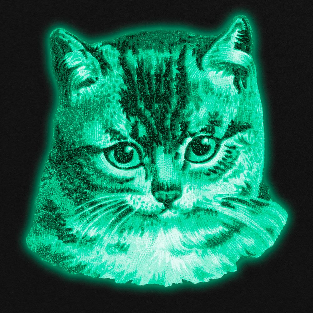 Green cat sticker illustration