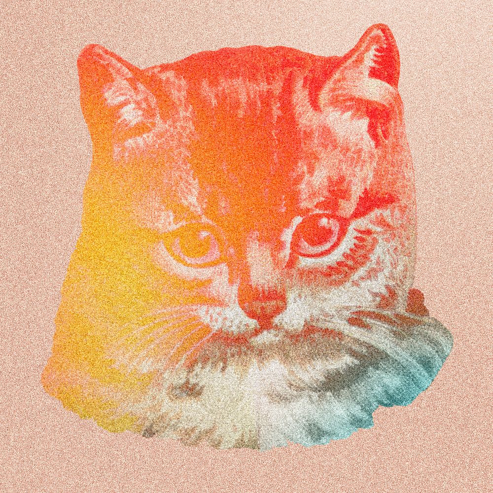 Staring cat sticker illustration