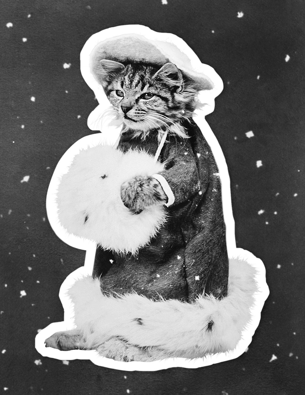 Cat in a coat sticker illustration