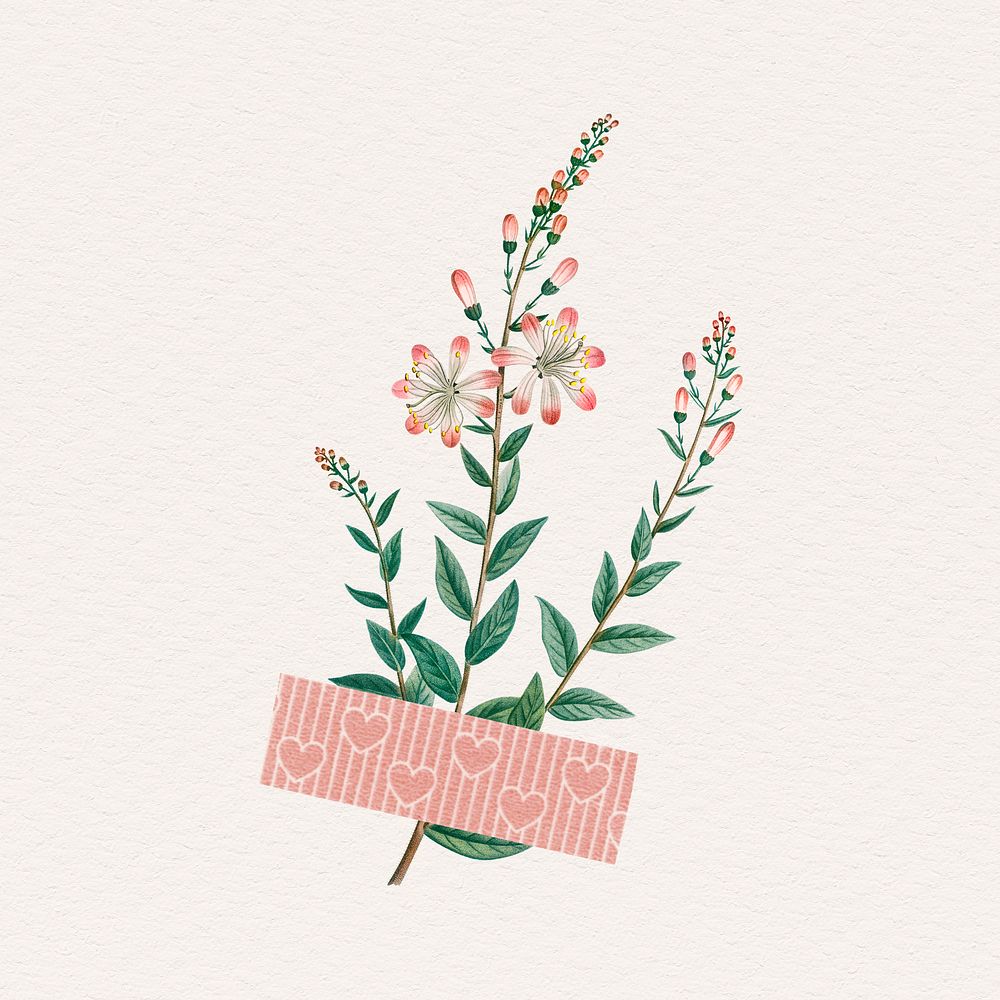 Flower with a pink Washi tape design element illustration