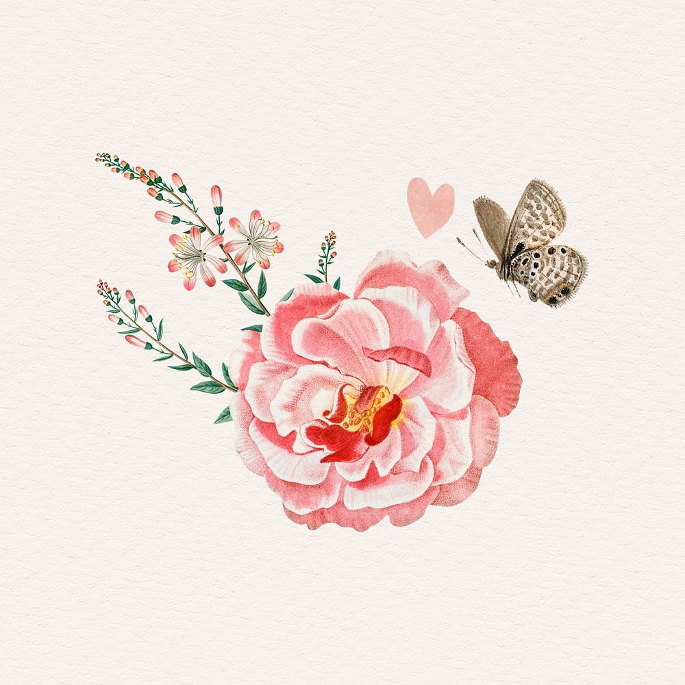 Ever-blowing rose with a butterfly design element illustration