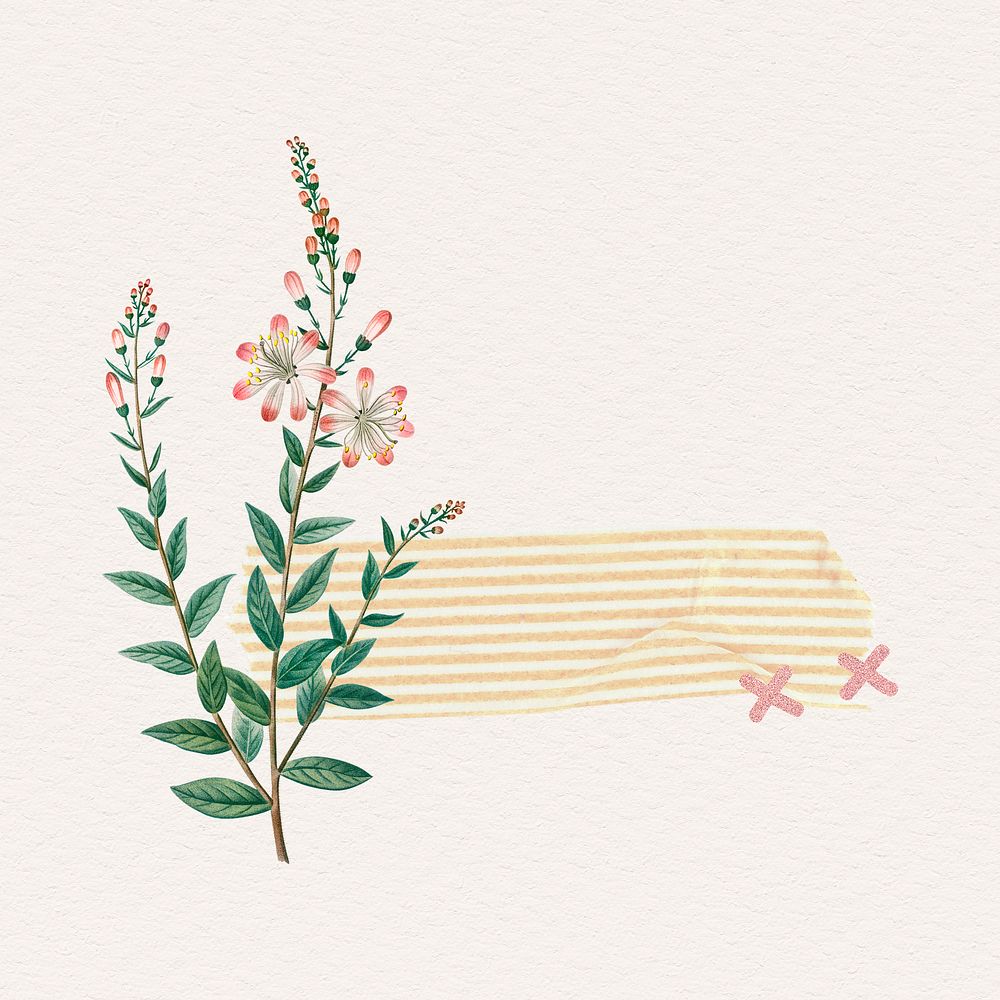 Tartflower with a yellow striped Washi tape design element illustration