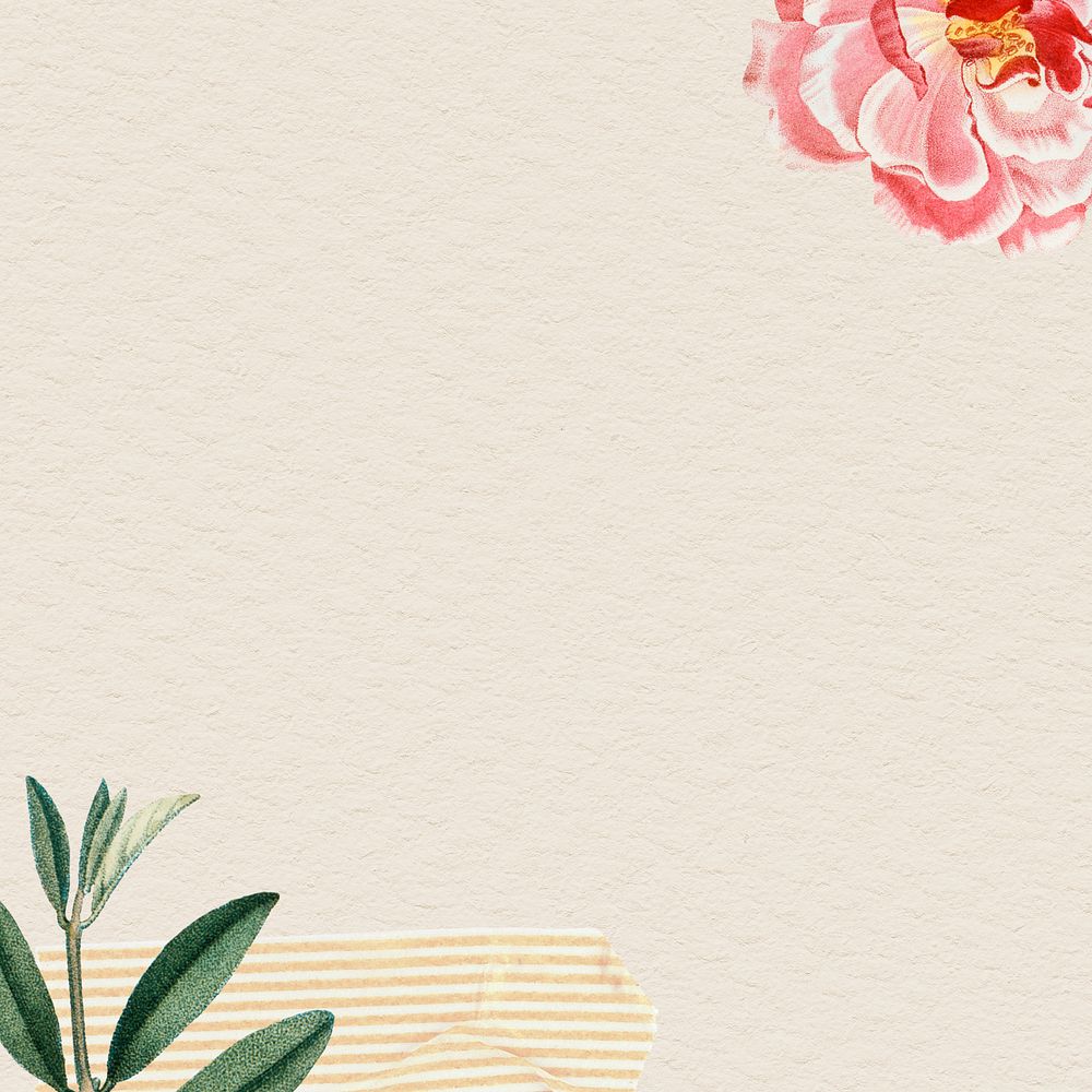 Pink rose on beige background illustration