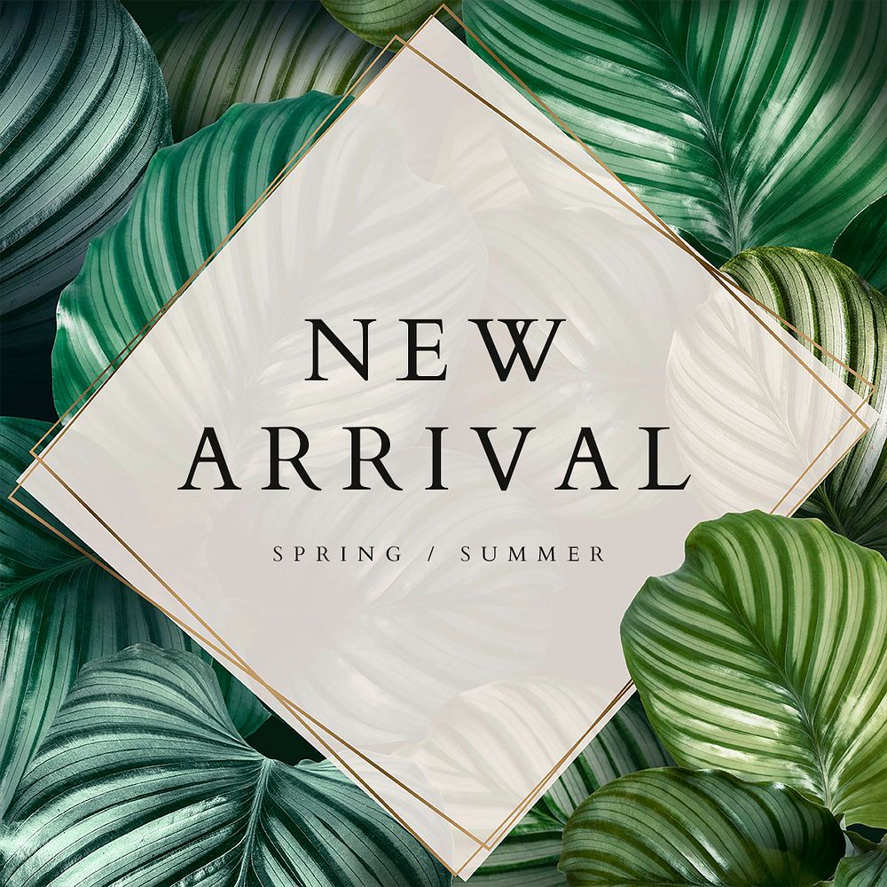 Spring and summer new arrival template