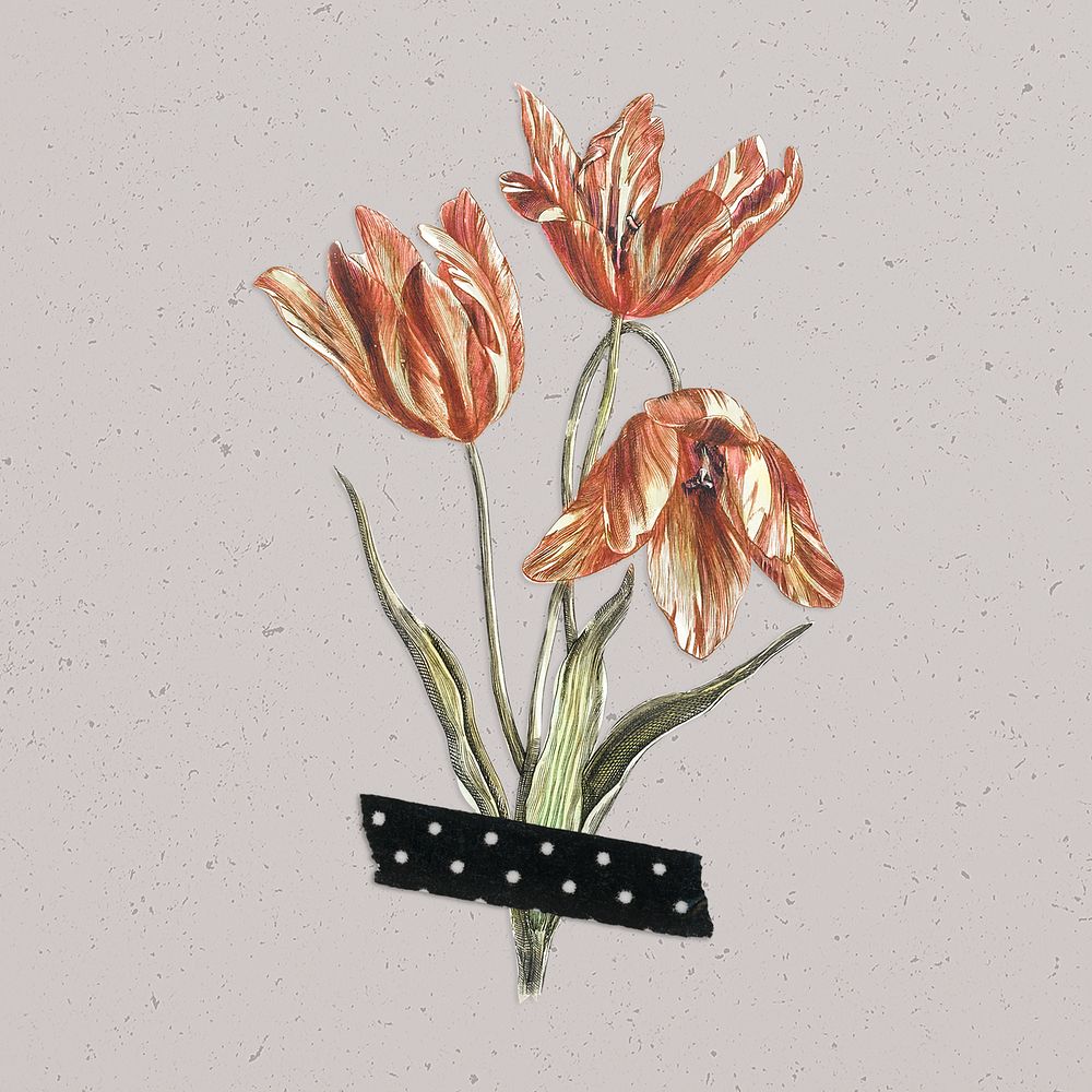 Tulip flower with washi tape on a gray background design resource