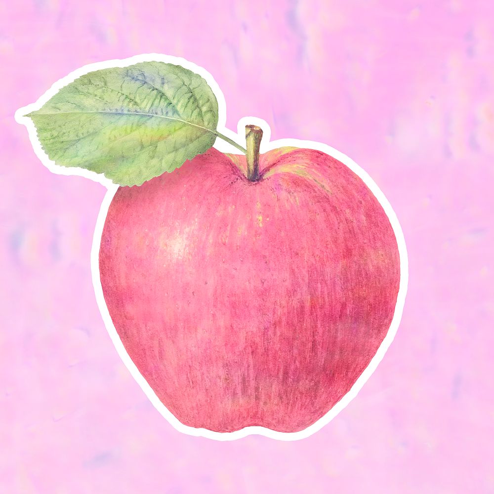 Pastel pink apple illustration 