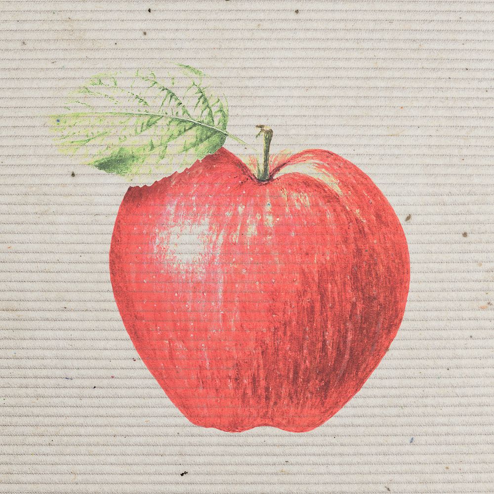 Red paper textured apple illustration 