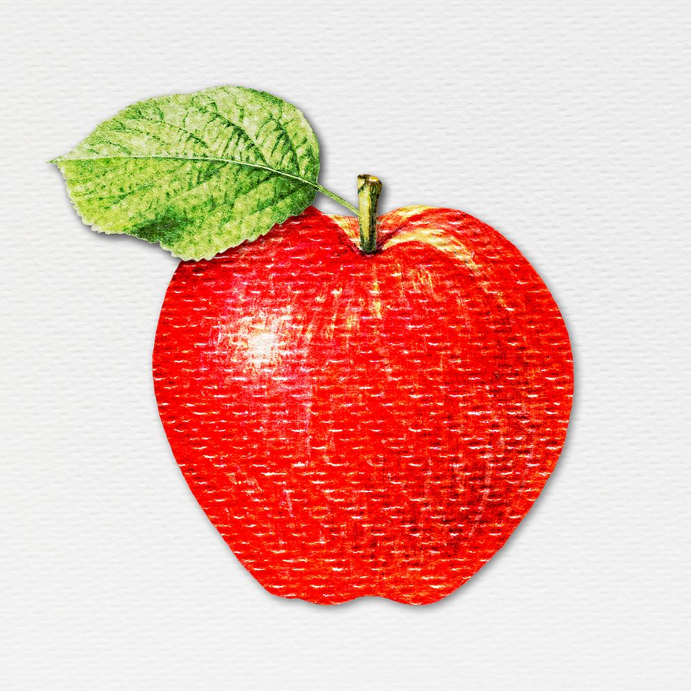 Red apple illustration paper craft style
