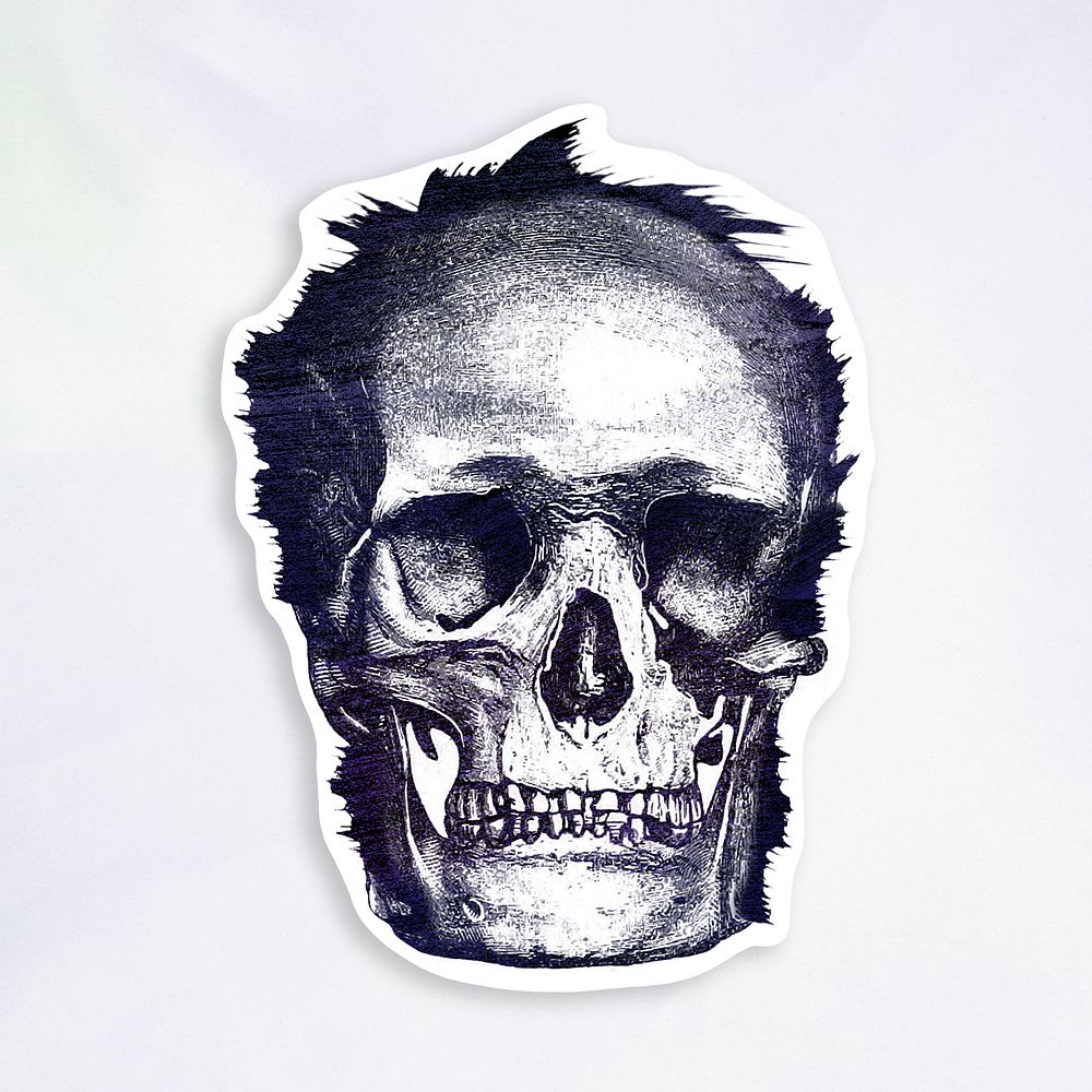Vintage skull engraving style sticker illustration with white border