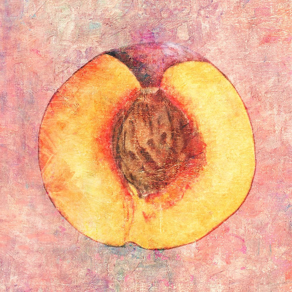 Hand drawn sliced peach illustration