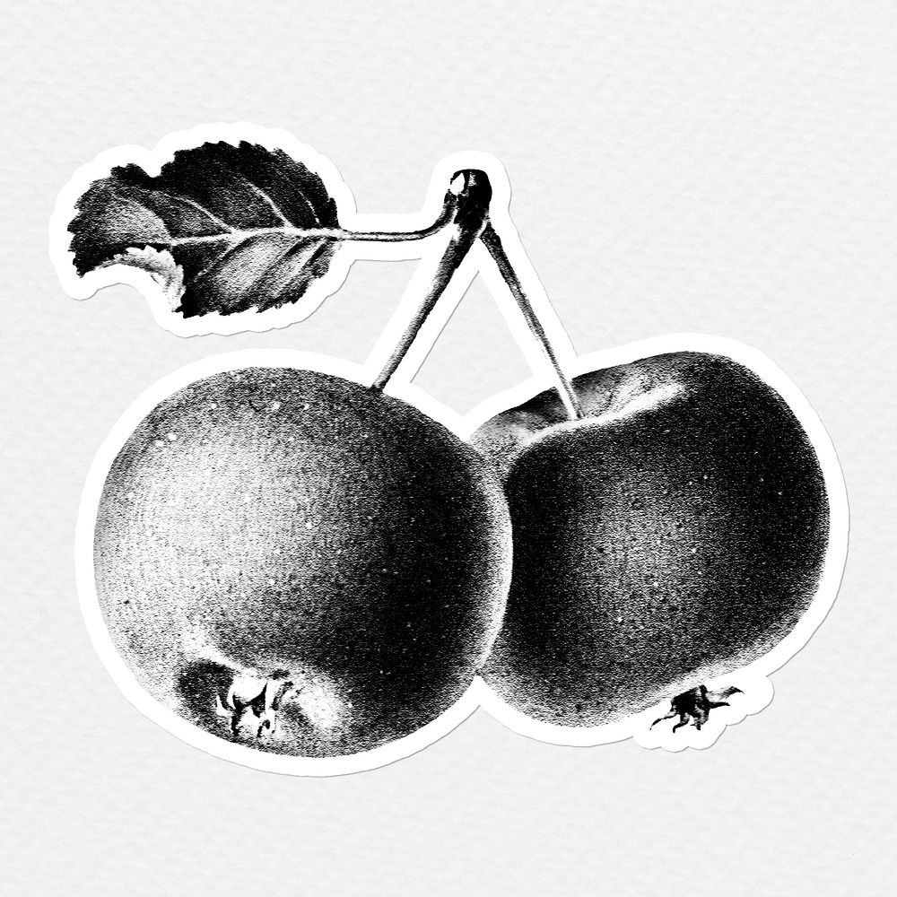 Hand drawn black and white cherries sticker design resource with white border