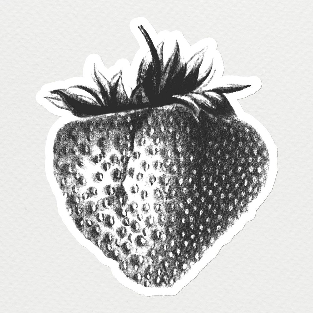 Hand drawn black and white strawberry sticker design resource with white border