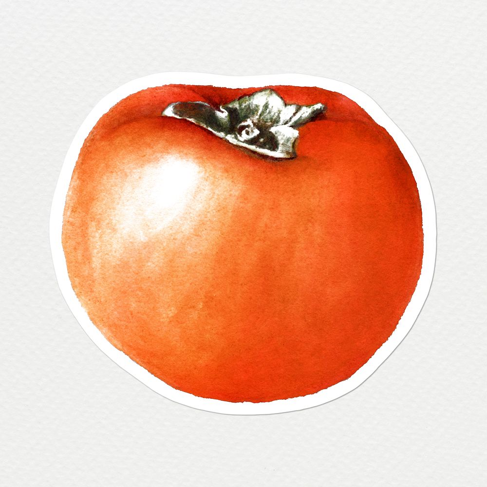 Hand drawn persimmon sticker overlay with a white border