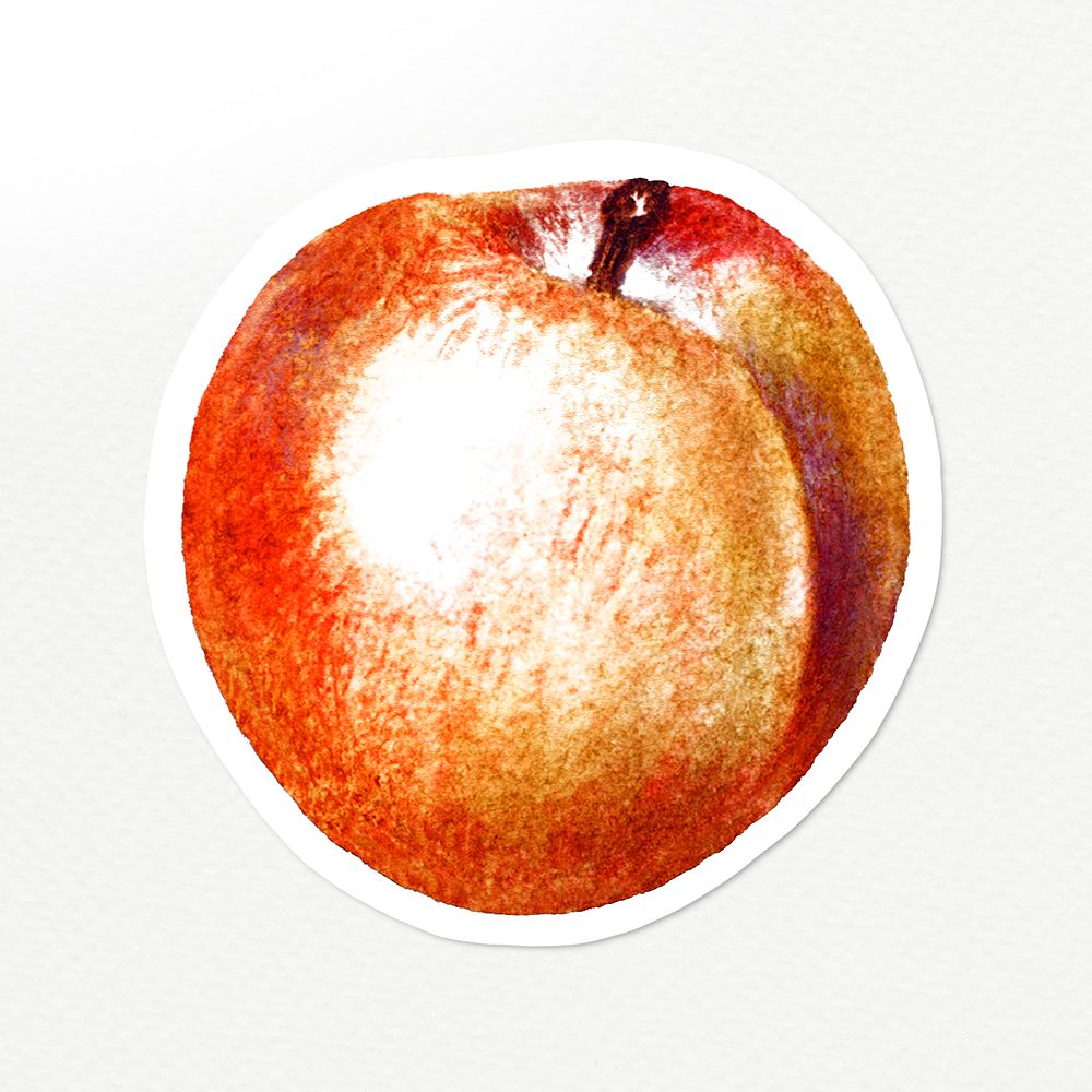 Hand drawn peach sticker overlay with a white border