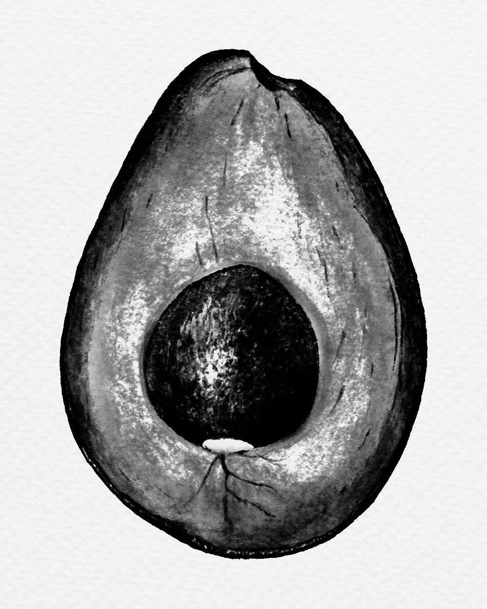 Hand drawn monotone avocado design element